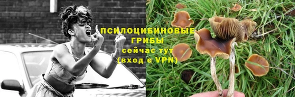 мет Белокуриха