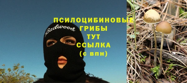 мет Белокуриха
