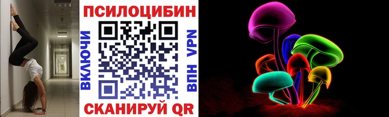 Псилоцибиновые грибы Cubensis  Плёс 
